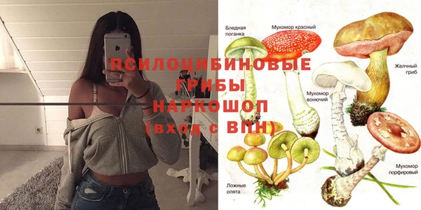 МДМА Краснослободск