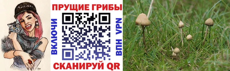 Псилоцибиновые грибы ЛСД  Купить закладки  Дегтярск 